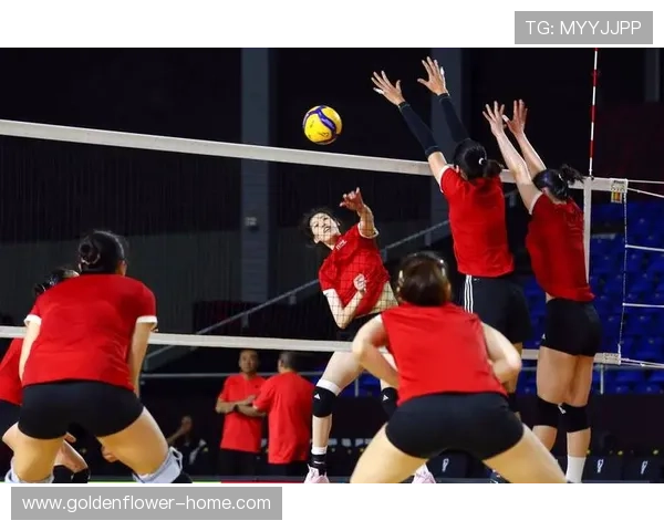 女排亚运会精彩纷呈 中国女排力争卫冕 赛场英勇拼搏展现风采 女排亚运会精彩纷呈 中国女排力争卫冕 赛场英勇拼搏展现风采