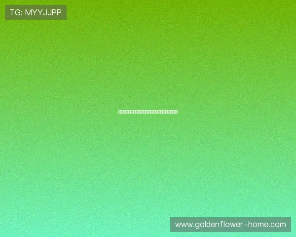 帕楚里亚领衔探索篮球新打法与战术创新的多重可能性 帕楚里亚领衔探索篮球新打法与战术创新的多重可能性